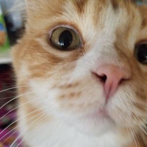 Meet your Posher, Libby